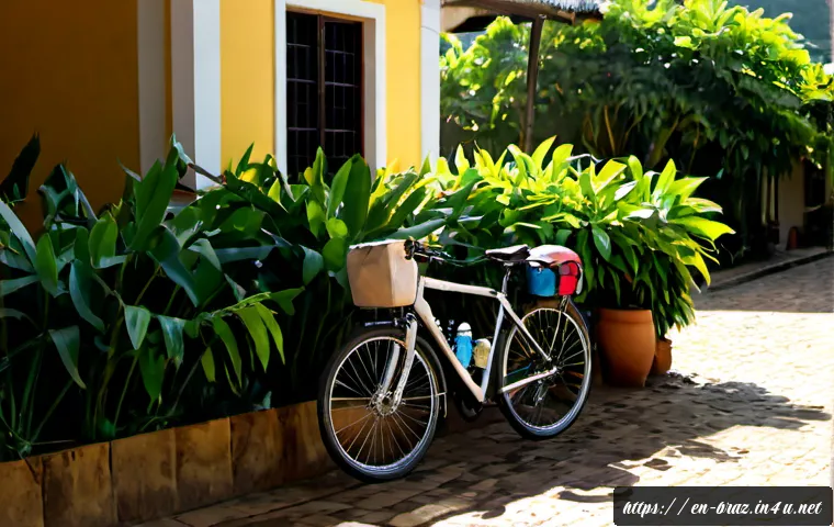 Cycling Brazil: Route Planning, Safety, Costs, and When a Guided Tour Is Worth It 3 브라질에서 자전거 여행하기 관련 이미지 1