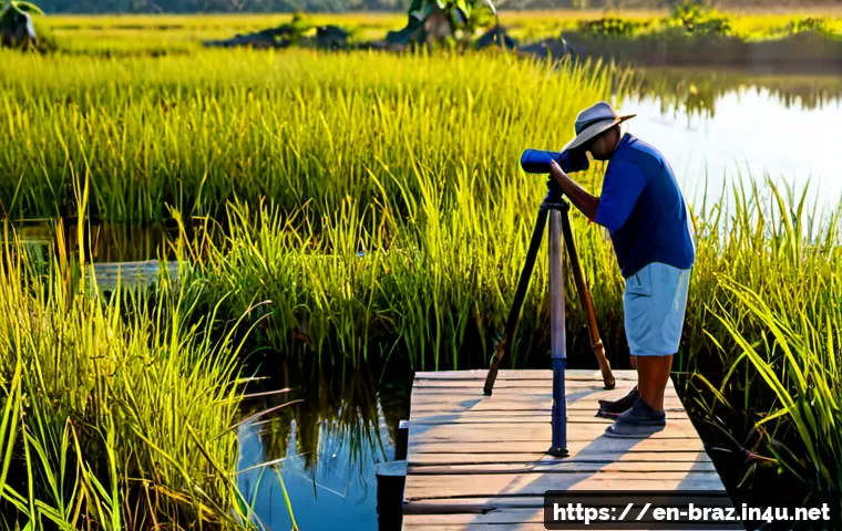 브라질 내 야생동물 조심해야 할 점 - Photorealistic Brazilian Pantanal wetland at golden morning light, a cautious adult traveler standin...